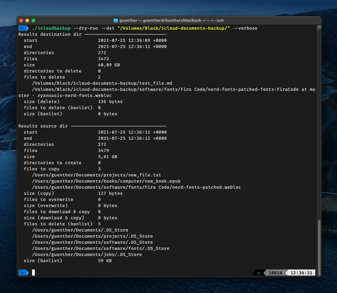 screenshot of iCloud Backup verbose command